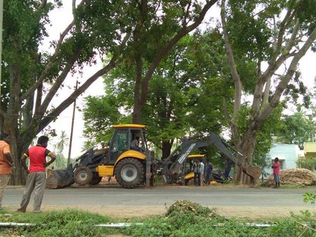 Bengaluru: Citizens crowdfund to save trees, Rs 4 lakhs raised to translocate