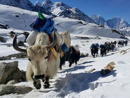 Four tonnes garbage collected during Mt Everest clean up drive