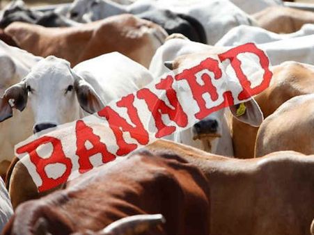 Goa meat traders challenge cattle trade restrictions in High Court