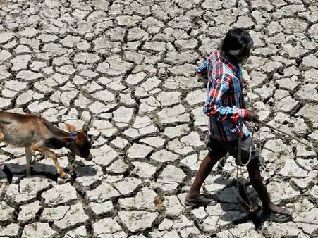 Maharashtra farmers create oasis in Marathwada region