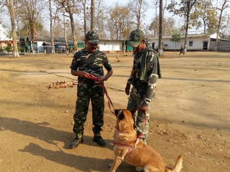 Police dog solves murder mystery in a jiffy in Bengaluru, sniffs out killer