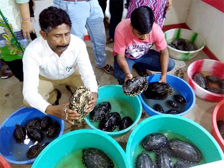 India sees wildlife smuggling rise by 121 per cent to China