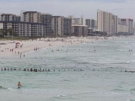Beach-goers form human chain to save a family trapped in current