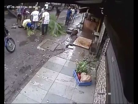 Coconut tree crushes Mumbai woman but BMC's apathy is the real killer