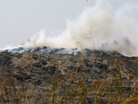 NGT seeks report on 'mountain' dumps at landfill sites in Delhi