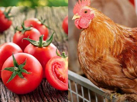Tomatoes in Mumbai are costlier than chicken in Kerala