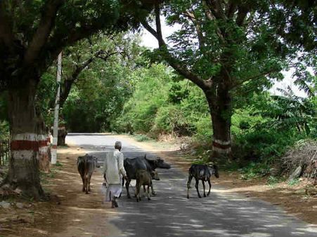 Haryana: Centre approves changing 'embarrassing' names of Ganda, Kinnar villages
