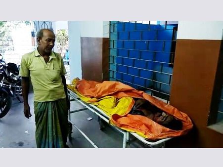 Two persons lynched in a village in North Bengal under suspicion of being cattle thieves