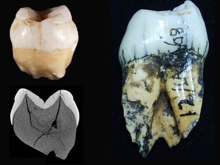 Modern humans active 20,000 years earlier than thought: Study