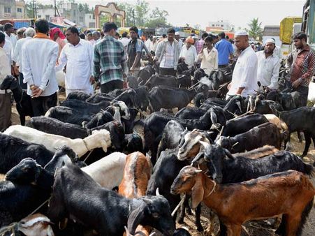 Odisha: Animals sacrificed in Chhatar Jatra festival