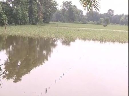 In Bihar floods, farmers lose crops, homes; stare at a bleak future
