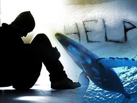 Gujarat govt announces cash award for information on Blue Whale curators