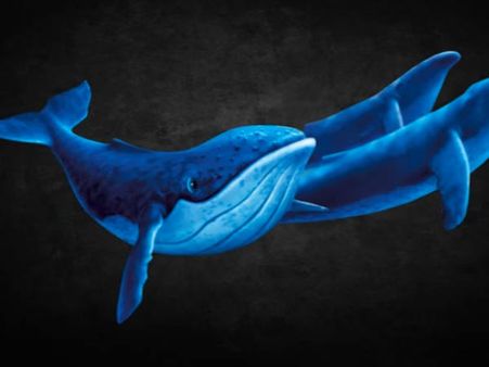 Blue Whale: HC notice to Centre, Punjab, Haryana on plea seeking ban