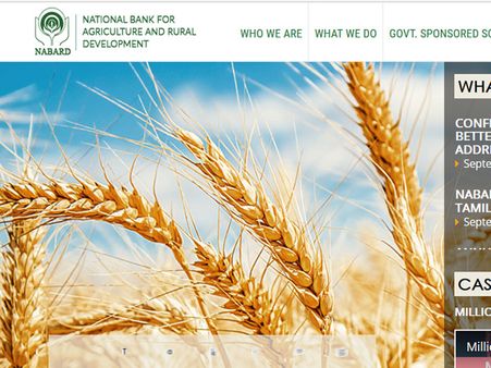 NABARD Grade A & Grade B Phase 2 Mains Results 2017 declared, how to check