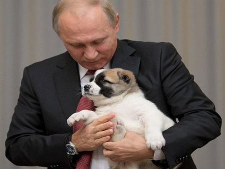 Pup-lover Vladimir Putin gets furry gift for birthday from Turkmen leader