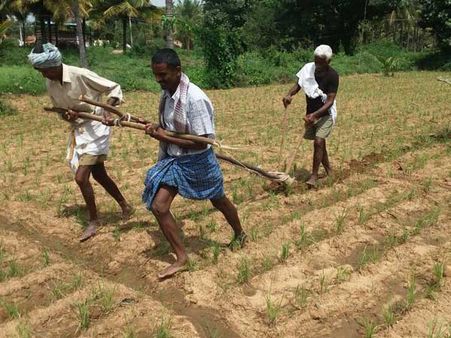 In Budget 2018, Modi govt woos farmers, rural masses: Will it translate into votes?