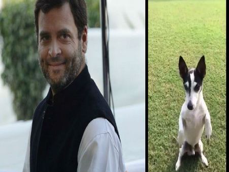 Is Rahul’s Pidi joke way ahead of its time?