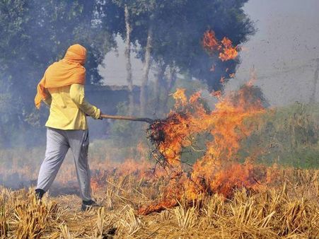 Crop burning not responsible for Delhi smog, it's Gulf dust storm