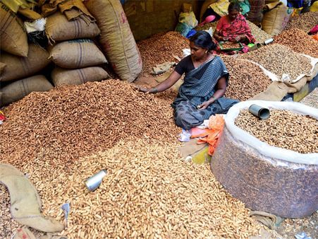 Different hues of Bengaluru's Kadalekai parishe: The night and day of the fair