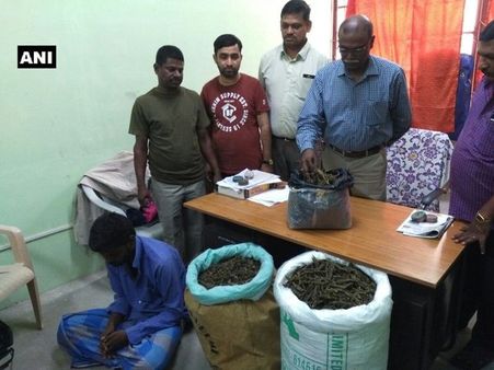 <i>Ganja</i> meant to be smuggled to Sri Lanka seized, one arrested