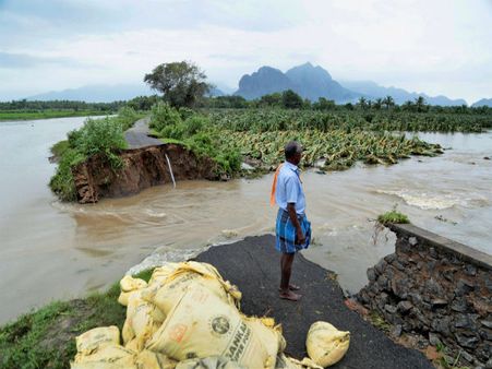 Gujarat: Cyclone Ockhi is expected to cross Surat by midnight, says IMD