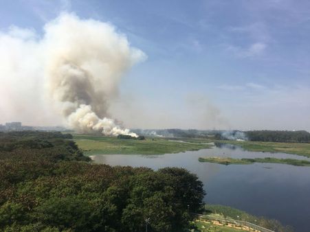 NGT dismisses of Karnataka Govt's review petition challenging Rs 500 Crore penalty