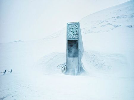 $13 million for ‘doomsday’ seed vault: How Norway is working to protect world food supply
