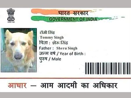 Madhya Pradesh shocker: Man held for getting Aadhaar card made for dog