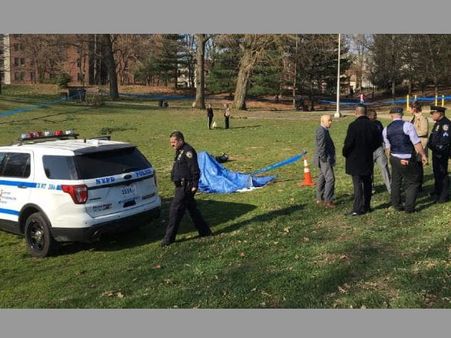 US: Prominent lawyer sets self on fire to protest ecological destruction