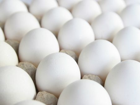 UK teen does something unique; hatches an duck’s egg bought from supermarket