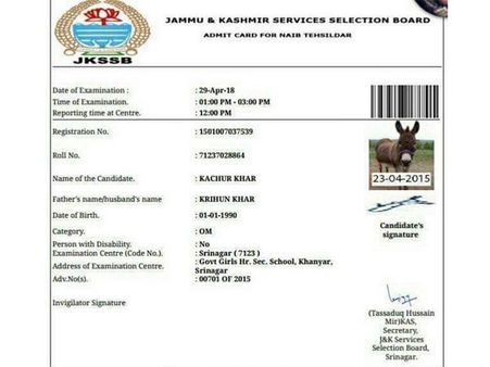 This donkey will appear for a recruitment exam in Jammu and Kashmir