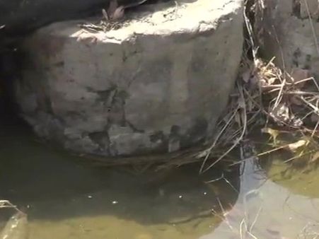 Haryana: 9-year-old girl's body with missing hands found in drain in Rohtak