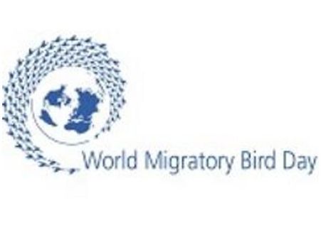 Today, May 12, is World Migratory Bird Day
