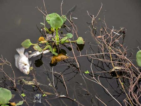 World Environment Day 2018: Moving towards a plastic-free future