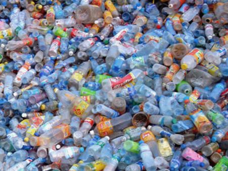 Efforts to save the environment are on, but it needs to gather pace