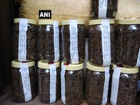 Delhi: 535 kg of cannabis seized, two arrested