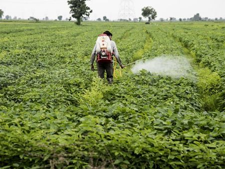 Two farmers in Yavatmal hospitalised: Pesticide poisoning suspected