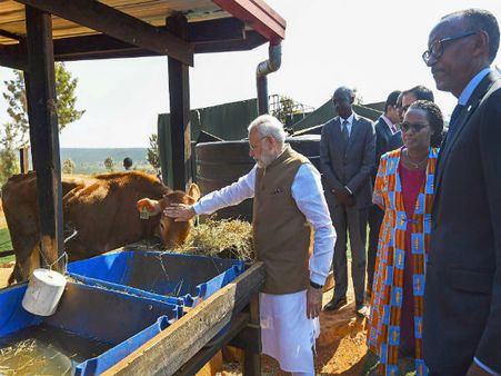 Modi in Africa: PM gifts 200 cows to villagers in Rwanda under 'Girinka' scheme