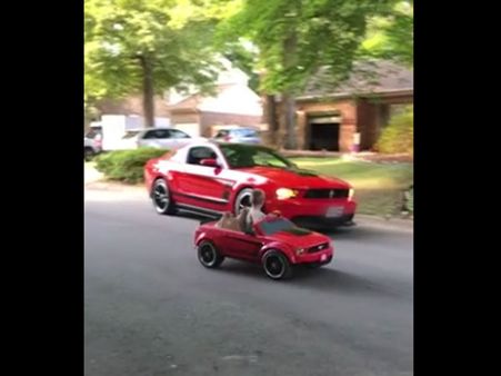 Father and son race in their respective cars but this race is unique; see why