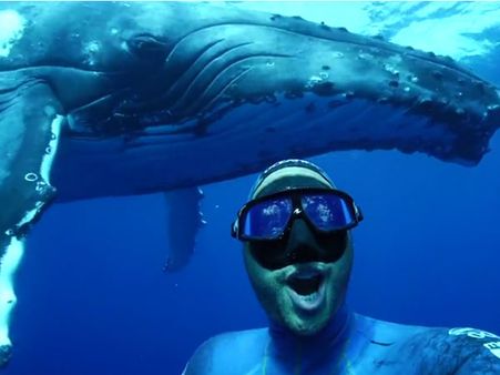 This diver takes the selfie of his life under the ocean