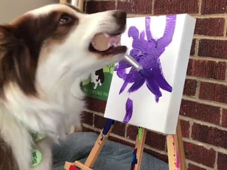 They call her a ‘Paw-casso’… watch the video to know why