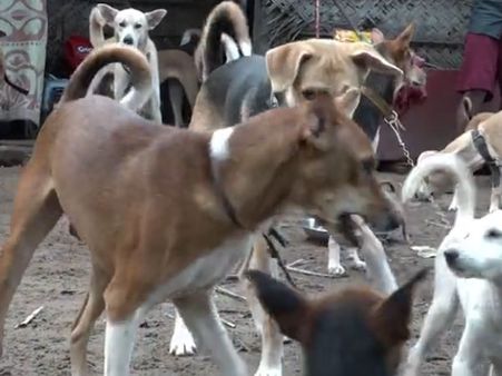 Kerala floods: Why this woman refused to evacuate