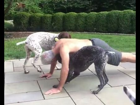 Pet dogs think owner’s push-up a playtime invite; they jump on to him