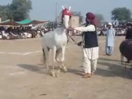 This cultural art of Pakistan will impress you for sure