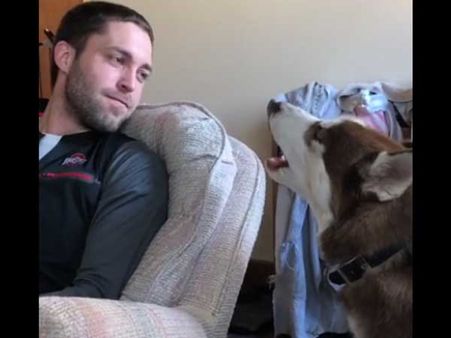 Here’s is an excellent howling contest going on between a dog and a man