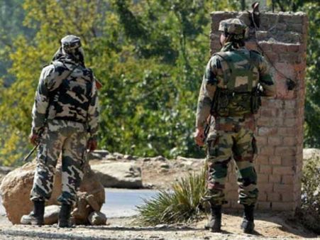 J&K: Terrorists lob grenade at power grid in Nowgam, 1 CISF personnel martyred