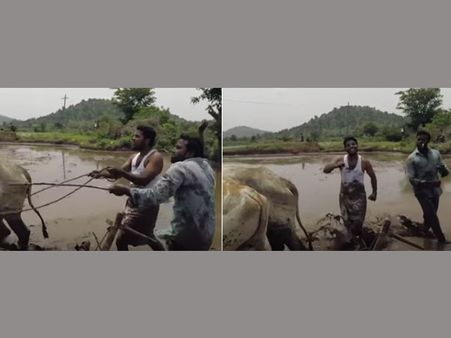 'Desi kiki challenge' by farmers storms internet