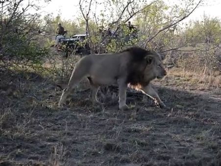 In the world of nature, too, women remain a deprived class… Watch!