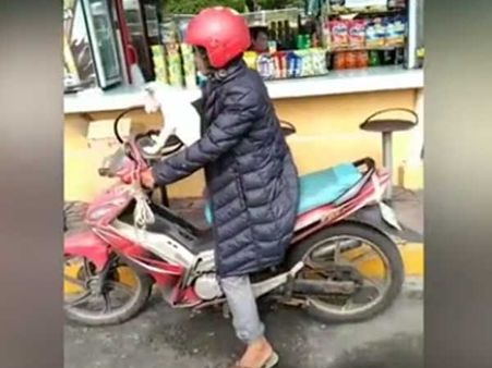 This dog knows how to travel as a pillion rider… adorable