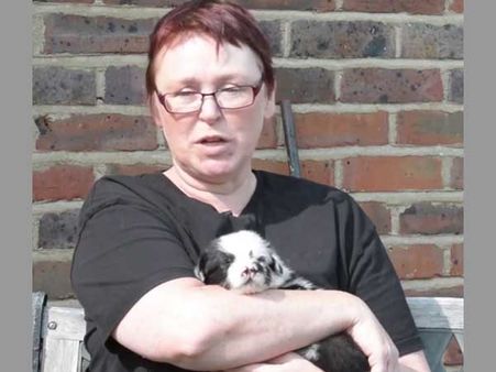 This cute puppy has two noses and that makes it even cuter